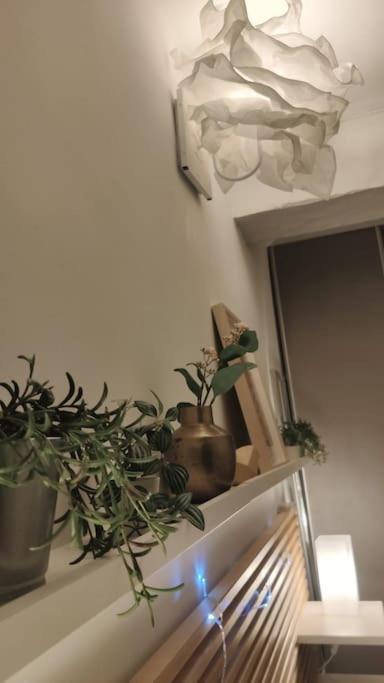 Appartement - Brando Dış mekan fotoğraf
