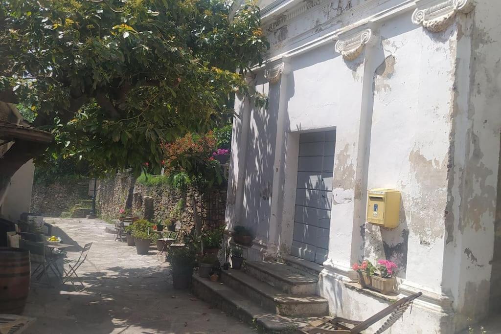 Appartement - Brando Dış mekan fotoğraf
